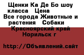 Щенки Ка Де Бо шоу класса › Цена ­ 60 000 - Все города Животные и растения » Собаки   . Красноярский край,Норильск г.